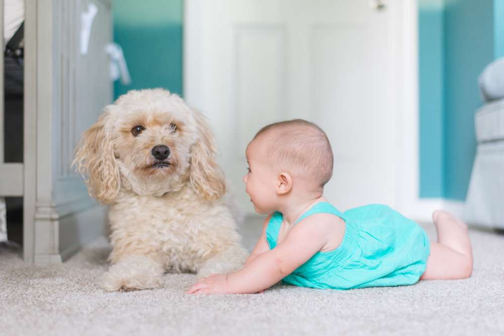 Nomes de Bebê Masculinos: Opções Tradicionais e Modernas